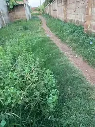 Black-mamba-madingo webcam model stream image