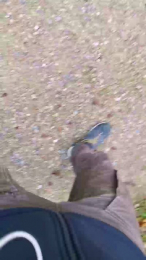 schweizerjan webcam model stream image