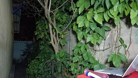 hotboys1924 webcam stripchat model stream image