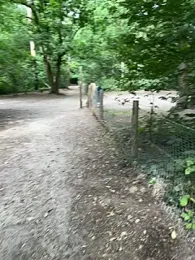 Mrbighardcock webcam model stream image