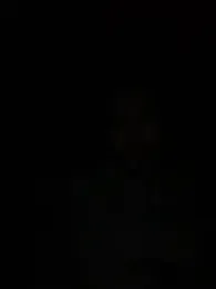 CaptHook931 webcam model stream image