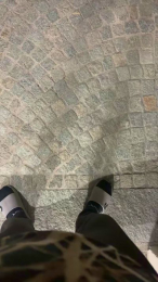 Nolino20 webcam model stream image