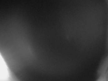 Kikadado4035 webcam model stream image