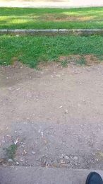 REYi7 webcam model stream image