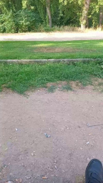 REYi7 webcam model stream image