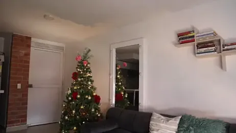 _Vahos_ webcam model stream image