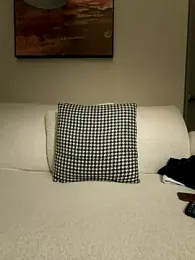 ori6 webcam model stream image