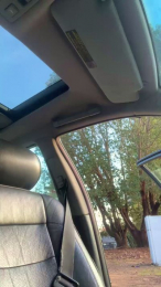 TheHammerDong webcam model stream image