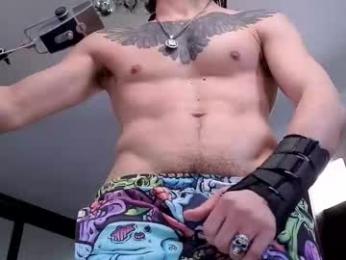 dl_raven webcam model stream image