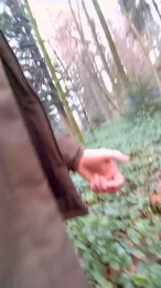 thingsbums webcam model stream image