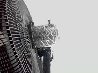 angeline-bleakk webcam model stream image