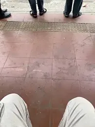 swami_ji webcam model stream image