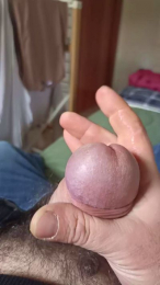 terrone46 webcam model stream image