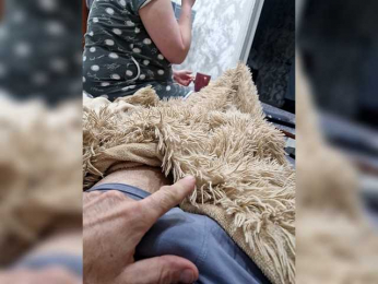 Para222a webcam model stream image