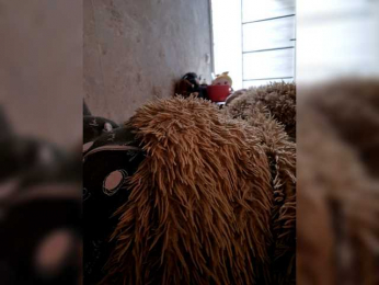 Para222a webcam bongacams model stream image