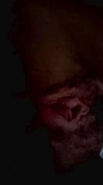 Sum85 webcam model stream image
