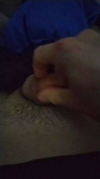 crowlee_ webcam model stream image