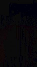 misterman244 webcam model stream image