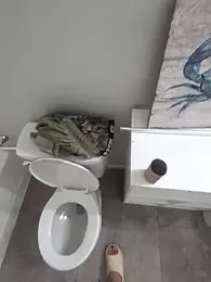asitep webcam model stream image
