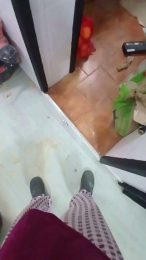 Falisan webcam cam4 model stream image