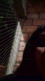 Miluleal webcam model stream image