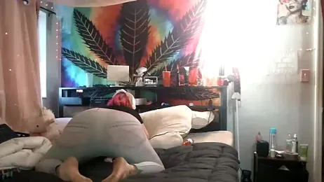 TiffaniHaze webcam stripchat model stream image