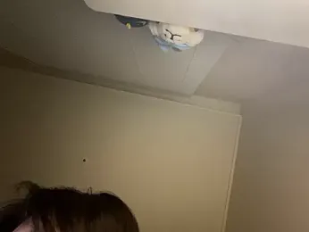 dvoi webcam model stream image