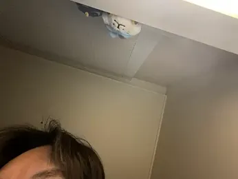 dvoi webcam model stream image