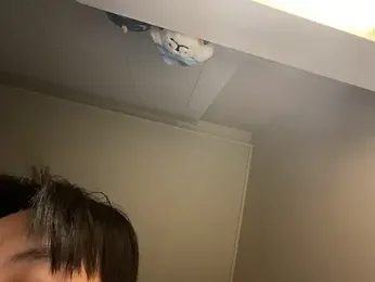 dvoi webcam model stream image