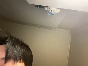 dvoi webcam model stream image