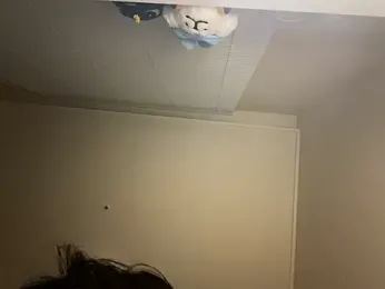 dvoi webcam model stream image