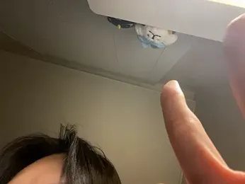 dvoi webcam model stream image