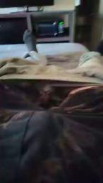 Travmostwantedd webcam model stream image