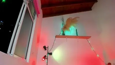 Juan_Castano webcam model stream image