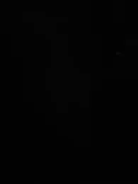 QcMisterv13 webcam model stream image