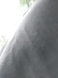 QcMisterv13 webcam model stream image