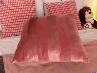 alexaporter webcam model stream image