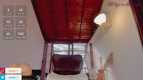 DavidC_ webcam model stream image