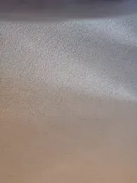 Roddog18 webcam model stream image