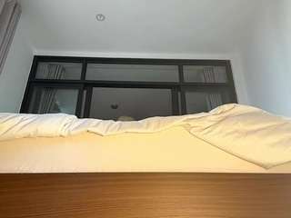 toshiaridpath webcam model stream image