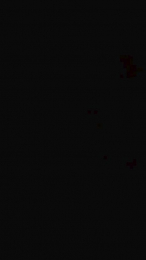 Nataly2929 webcam model stream image