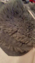 matty2773_sexy webcam cam4 model stream image