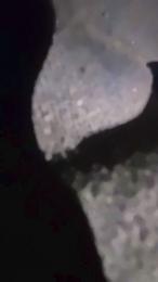 richdan7 webcam model stream image