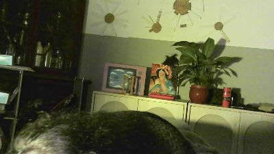 zaidapink webcam model stream image