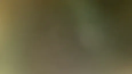 Cryptikov webcam model stream image