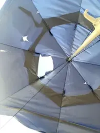 P4NT0J4 webcam model stream image