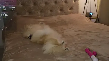 LindaWarners webcam model stream image