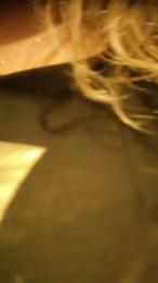 Pepais webcam model stream image