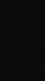 Paquete19 webcam model stream image