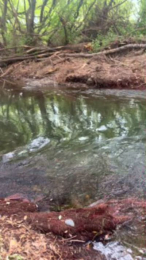 Laoquedad webcam cam4 model stream image